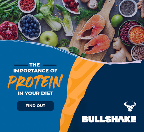 Importance of Protien in Our Diet - BULLSHAKE